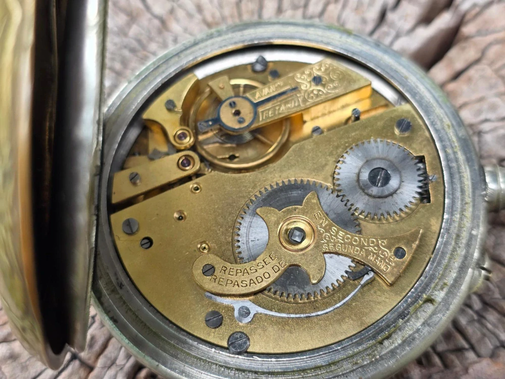 Velké dvouplášťové kapesní hodinky Régulateur – romantický reliefem